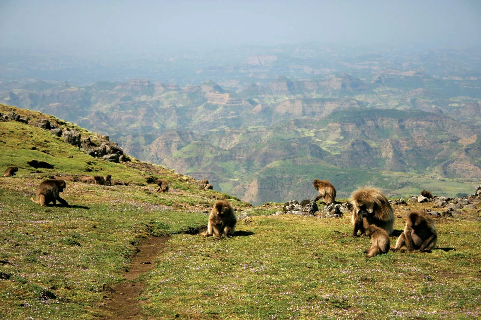  Simien Mountains 